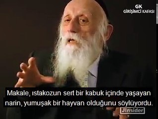 Istakozlar Nasıl Büyür? Müthiş Hikaye!