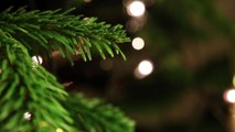 Christmas_Tree_CloseUp__Videvo　坂本まり