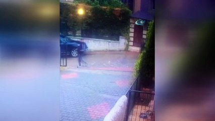 Herkül'ü önce sevip sonra çaldılar... O anlar kamerada