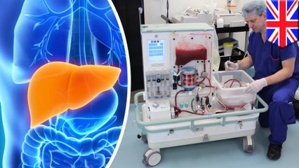 Keeping livers 'alive' improves transplant success