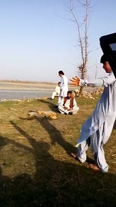 amazing boy dance