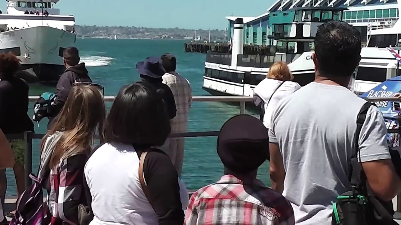 Un bateau rempli de touriste percute un quai