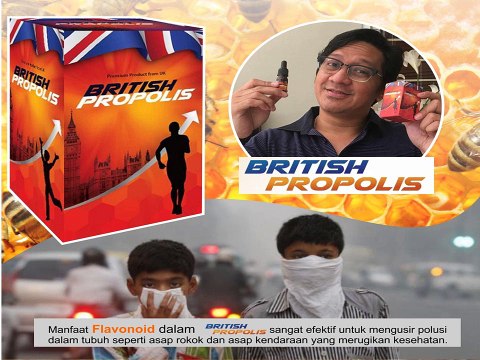 JUAL !! British Propolis Daerah Sidoarjo HUB: 0812 3252 2251 ( Ibu Ayu )