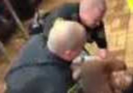 Woman Arrested at Alabama Waffle House in Plastic Cutlery Dispute