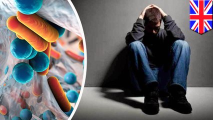 How your gut bacteria could be affecting your brain