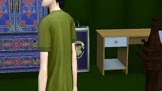 Harry Potter and the Order of Phoenix Chapter 7 The Sims 2