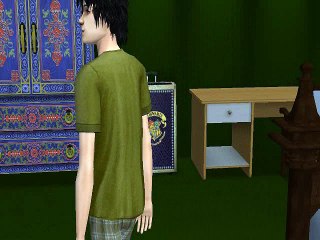 Harry Potter and the Order of Phoenix Chapter 7 The Sims 2