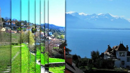 A vendre - Appartement - Chexbres (1071) - 2.5 pièces - 54m²