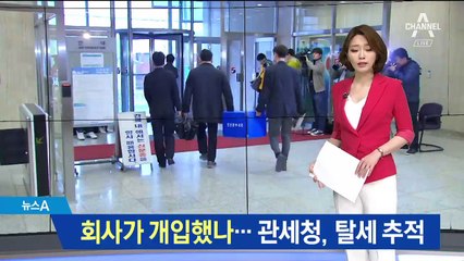 관세 탈루의혹 명품 발견…조양호 일가 소환할 듯