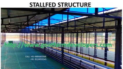 How to start goat farming business in india