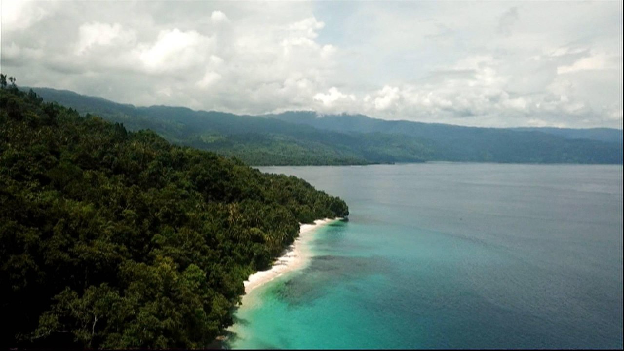 Race to save the rainforests in Asia-Pacific