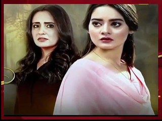 Parchayee Episode #18 Promo HUM TV Drama