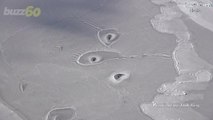 Look at The Mystery Ice Circles in Arctic That Have Scientists Baffled