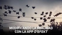 Cualquiera puede ser artista con esta app