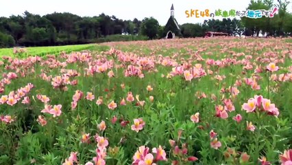SKE48の岐阜県だって地元ですっ！ 2017年8月2日オンエア「久々の岐阜メン3人組登場！そして「ある子」と1年ぶりの再会♪」
