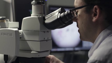 Download Video: Google crea un microscopio de realidad aumentada para detectar cáncer