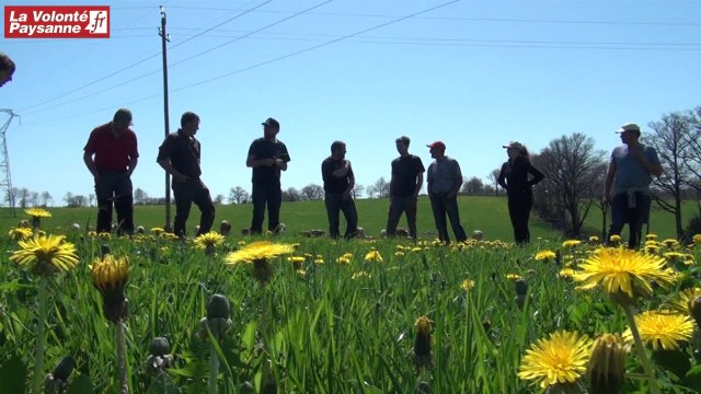 St-Amans-des-Cots : «pâturage tournant»