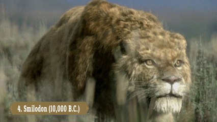 Top 10 Most Beautiful Extinct Animals