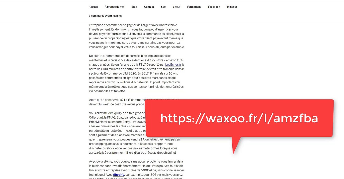 Devenez Libre Financièrement, Entrepreneuriat dropshipping et dev perso