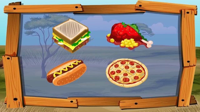 Learn Animals with My Dinosaur Danny Colours for Kids Animation Education Cartoon Compilation #MDD7