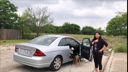 Mulher que se preparava para abandonar seus cães, não contava que alguém filmasse tudo!