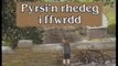 Percy Runs Away (Welsh) - Persi yn Rheg i Ffwrdd