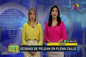 Graban a una avispa decapitada que recoge su cabeza y emprende vuelo