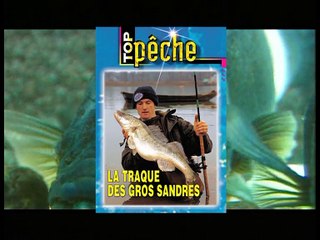 La traque des gros sandres