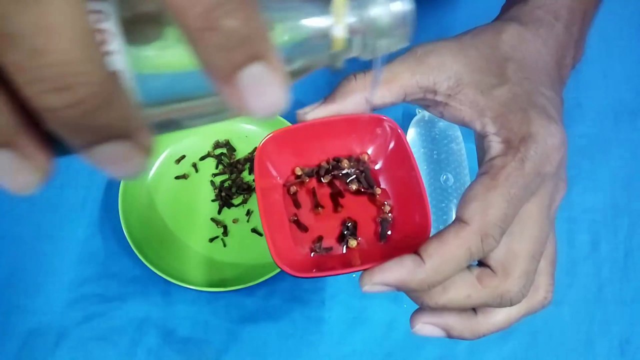 মাত্র ৩ ফোটা মাখলে ধো_ন ২৪ ঘন্টা লোহার মতো দাড়িয়ে থাকবে সারা দিন - Olive Oil Benefit For Dark Skin