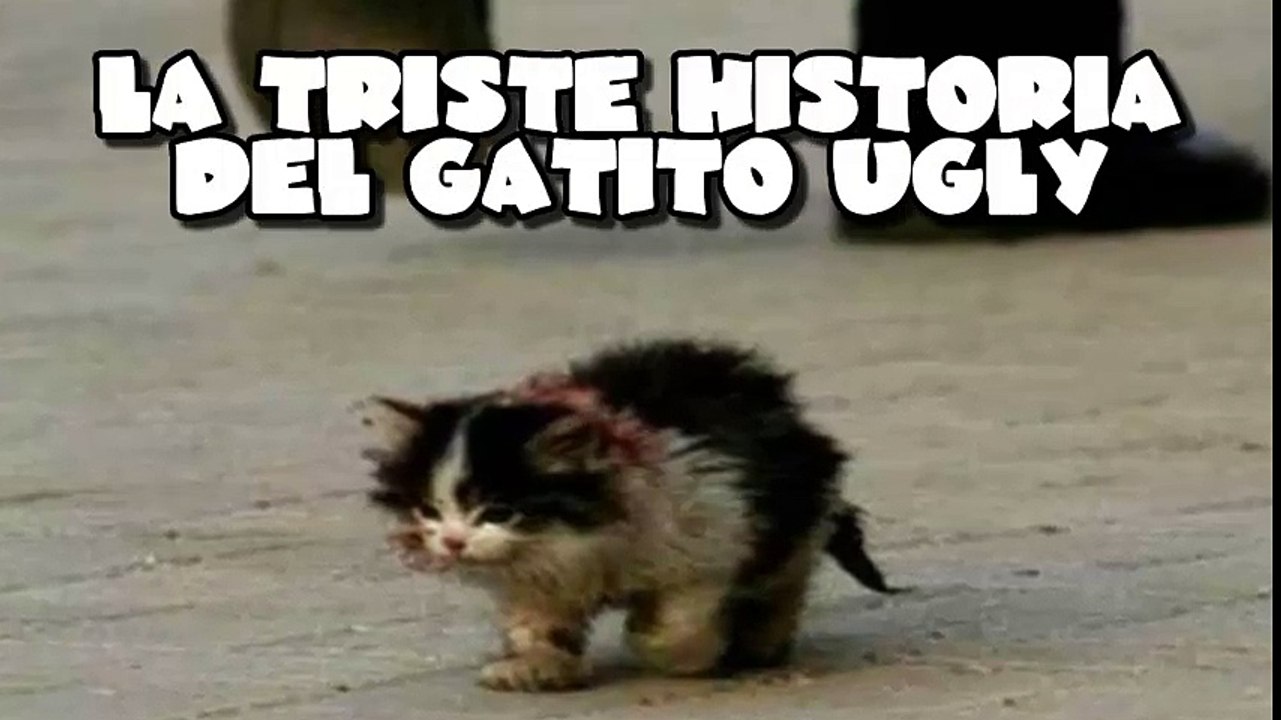 Intenta No Llorar Con Esta Triste Historia