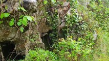 Castillos y Fortalezas (Fortaleza de txoritokieta)