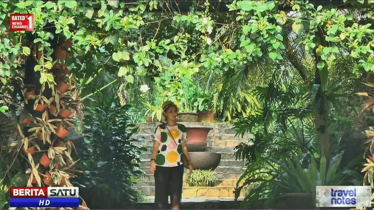 Geriya Anggrek Kebun Raya Bogor  Ada Buahnya