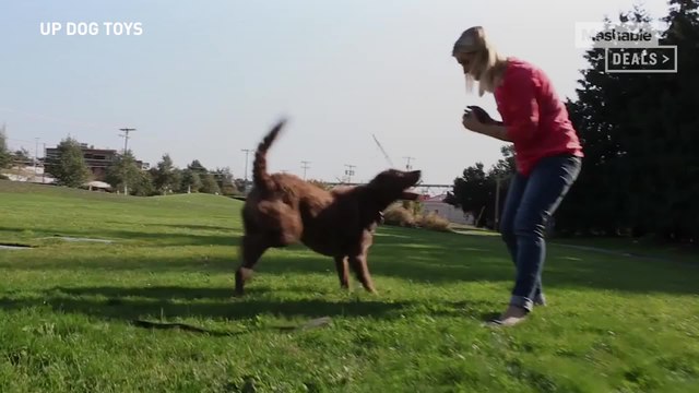 Combine food and fun with this innovative dog toy