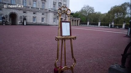 People line up to see royal baby notice outside Buckingham Palace