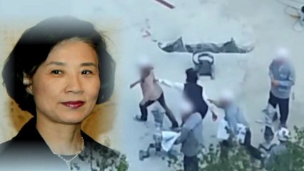 '잡아끌고 내치고' 이명희 추정 '폭행 동영상' 공개 / YTN