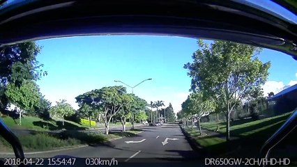 Sleeping Man Drives Off Road