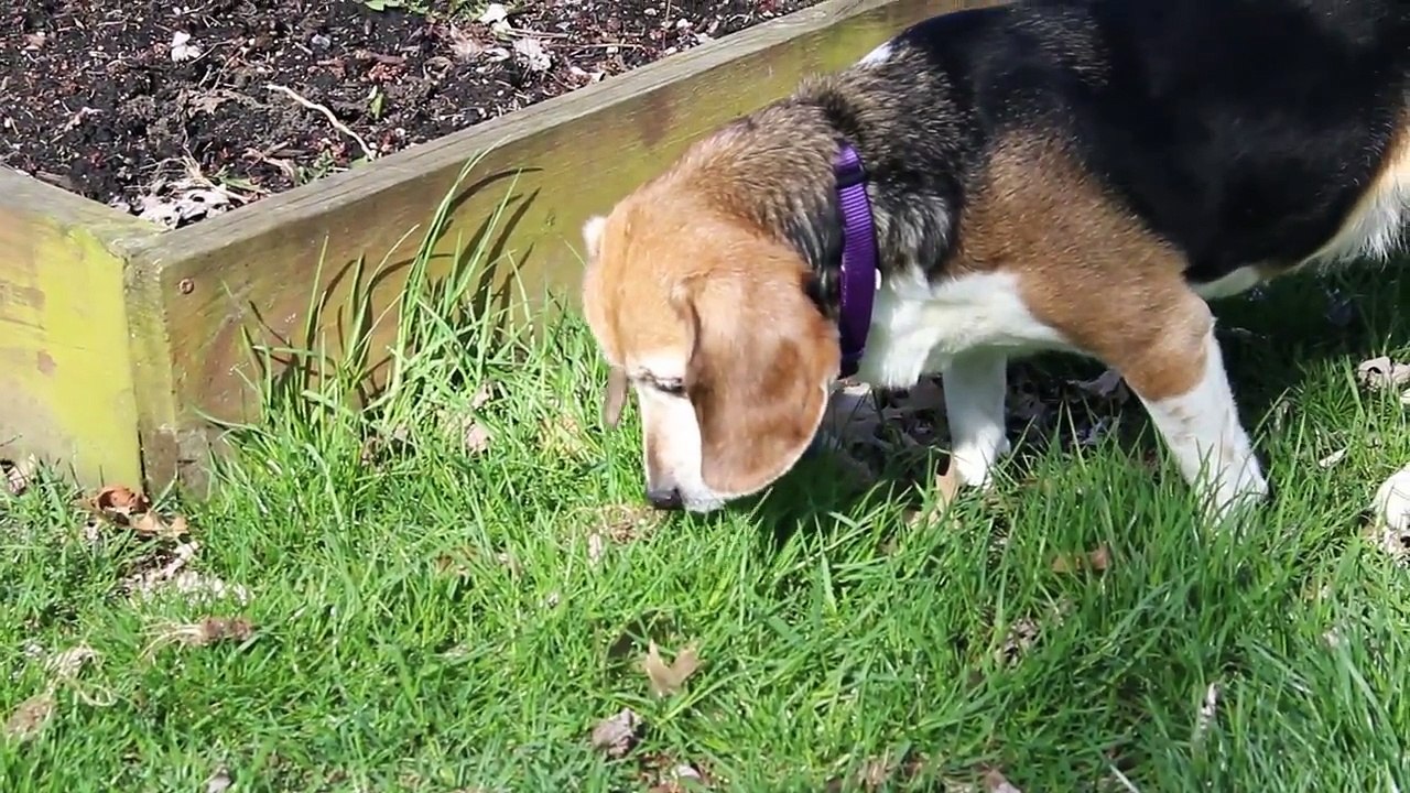 A Date With Daisy!