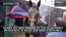 Rob Gronkowski's Namesake Horse Is Out of the Kentucky Derby