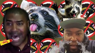 Tariq Nasheed & Umar Johnson, there will be no coons in the Israelite kingdom