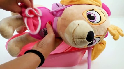 Mejores Videos Para Niños Aprendiendo Colores - Paw Patrol Baby Skye Learning Colors