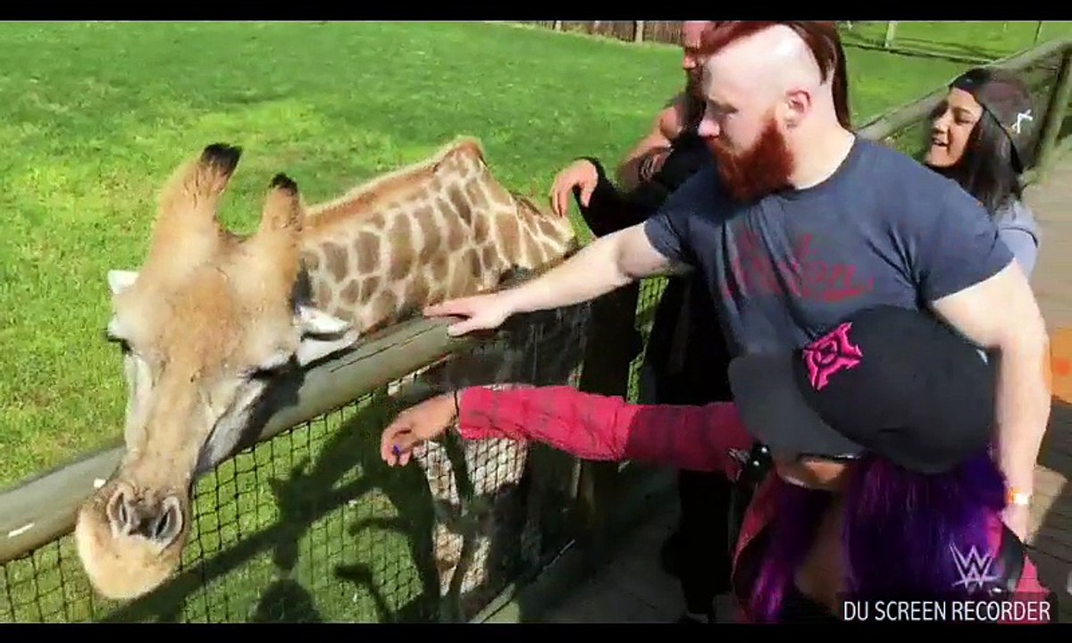 Seth Rollins And Other Superstars Roam With Lions In Safari park (South Africa) . K