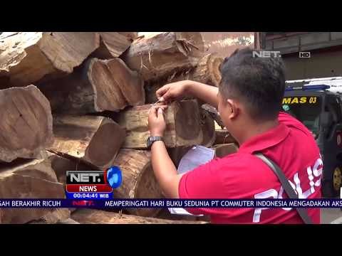 61 Potong Kayu Sono Keling Berhasil Diamankan -NET24