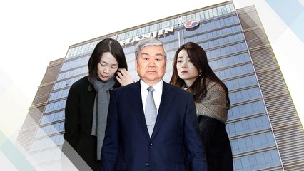 조 회장 일가, 한진칼 지분 통해 대한항공 지배 / YTN