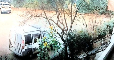 Olgunlaşmamış Erik Detayı Cinsel İstismar İftirasını Çürüttü