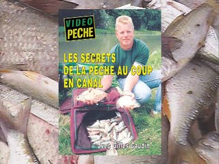 Les secrets de la pêche au coup en canal