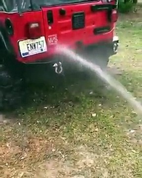 Un chien empêche son maître de laver sa voiture