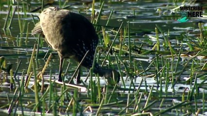 Venezuela: A Paradise in Hell (Part 2/5)