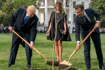 Trump ile Macron Beyaz Saray'ın Bahçesine Ağaç Dikti