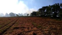 Andria: ancora un incendio sull'Alta Murgia, bruciati 3 ettari di vegetazione e i fumi si sprigionano nell'aria