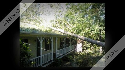 Alex Tree and Garden Services